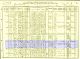 1910 Census