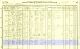 1910 Census