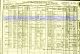 1910 Census