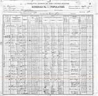 1900 Census